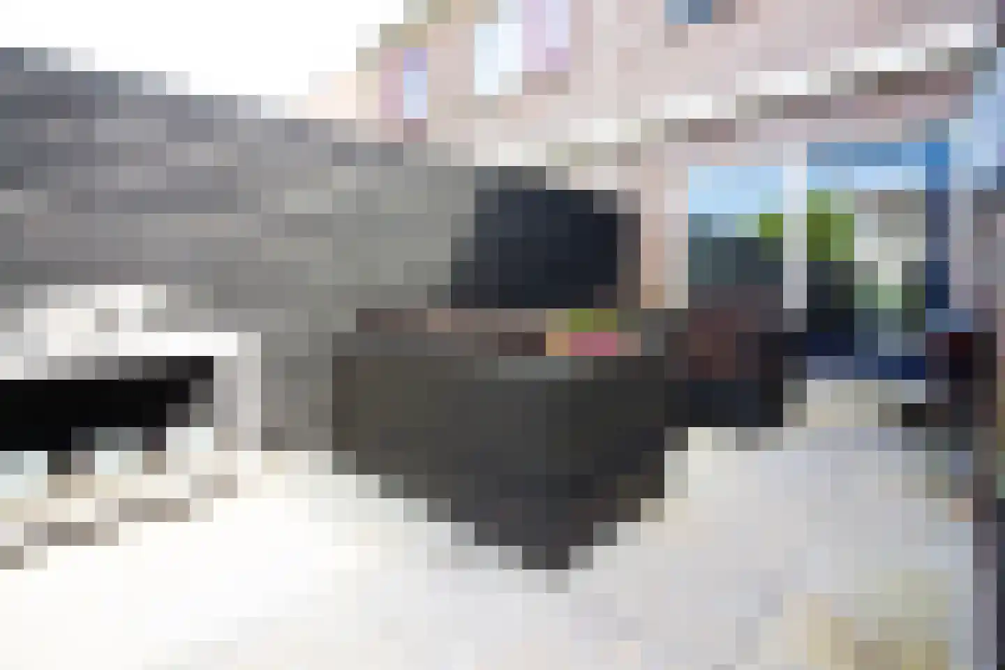 De Botting 13 Bovenkarspel thumbnail 67