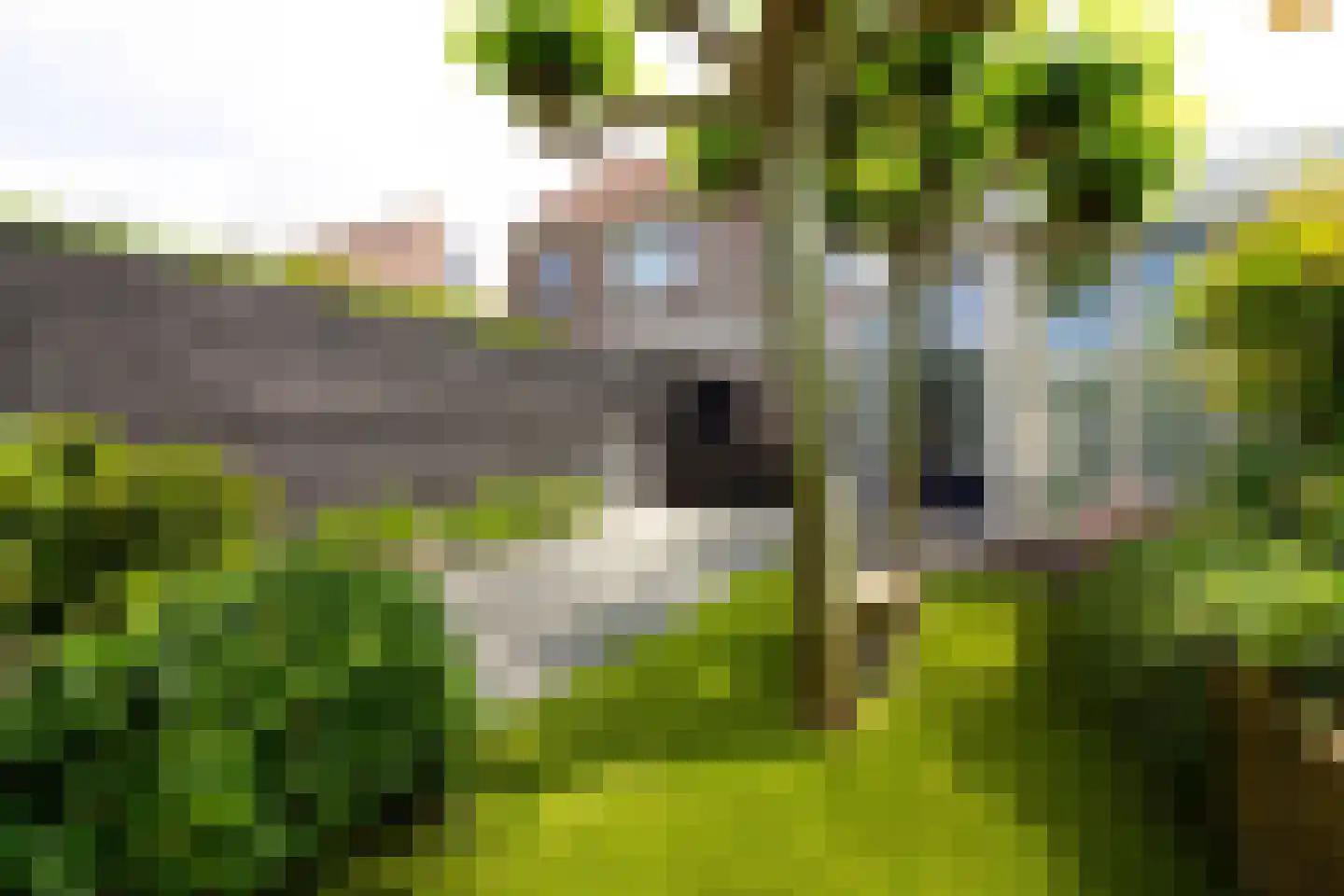 De Botting 13 Bovenkarspel thumbnail 69