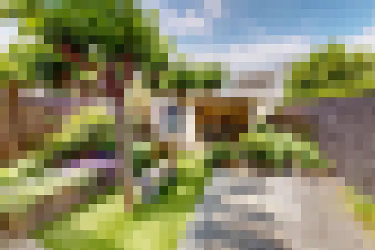 De Botting 13 Bovenkarspel thumbnail 71