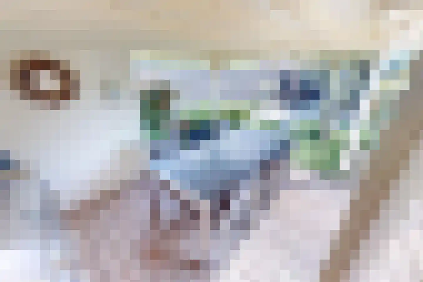 De Botting 13 Bovenkarspel thumbnail 73