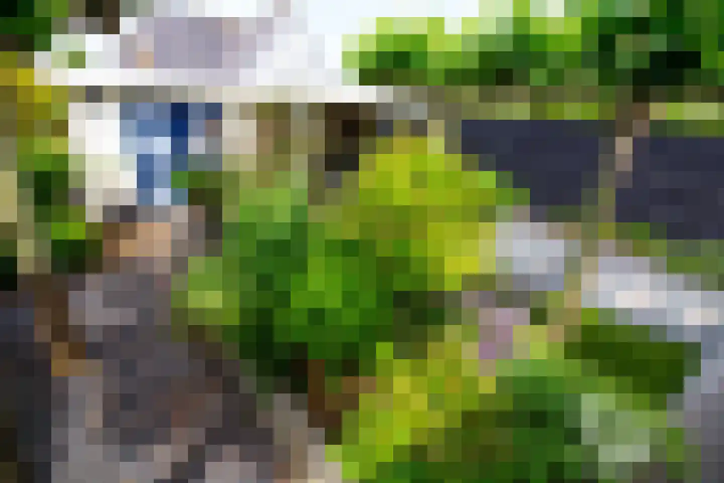 De Botting 13 Bovenkarspel thumbnail 75