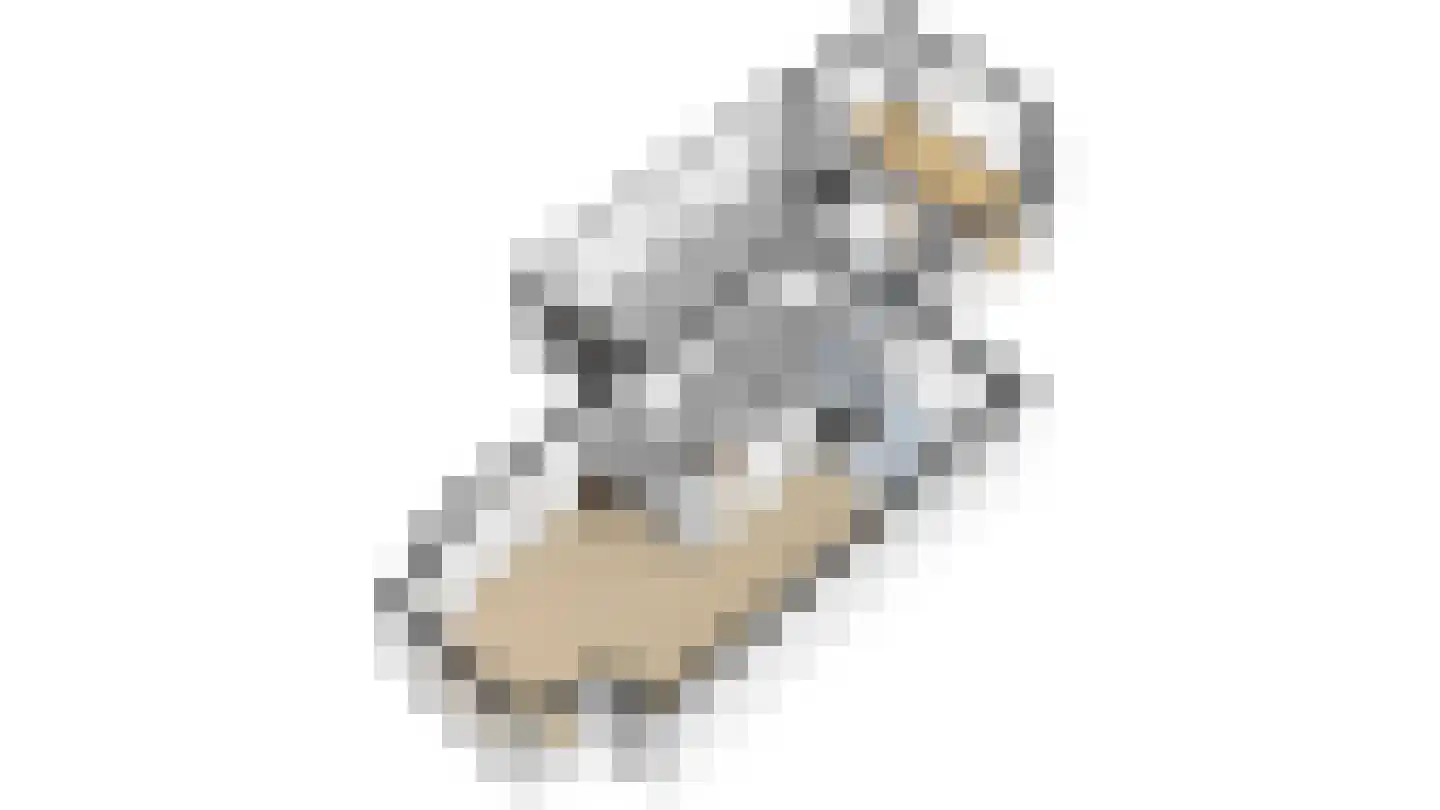 De Botting 13 Bovenkarspel thumbnail 86