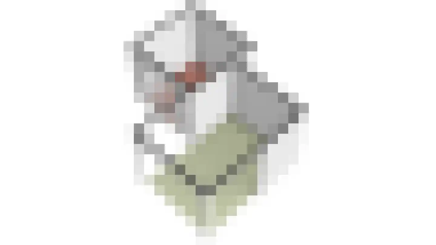 De Botting 13 Bovenkarspel thumbnail 98