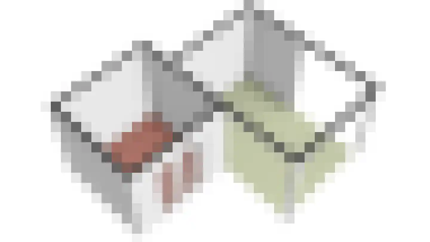 De Botting 13 Bovenkarspel thumbnail 99