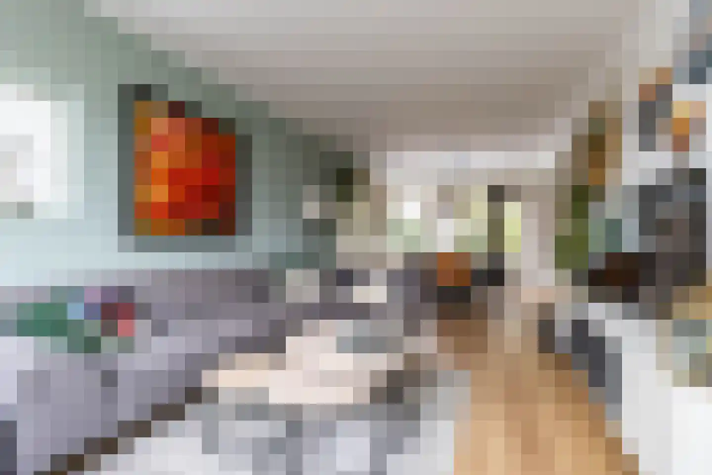 De Bou 10 Beetsterzwaag thumbnail 10