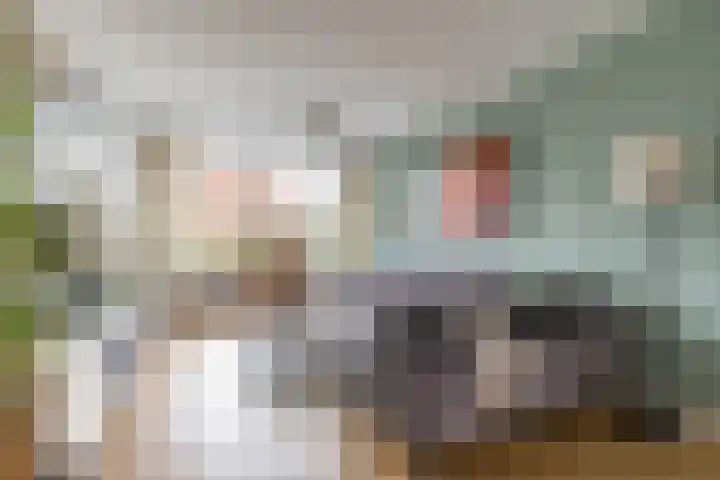 De Bou 10 Beetsterzwaag thumbnail 11