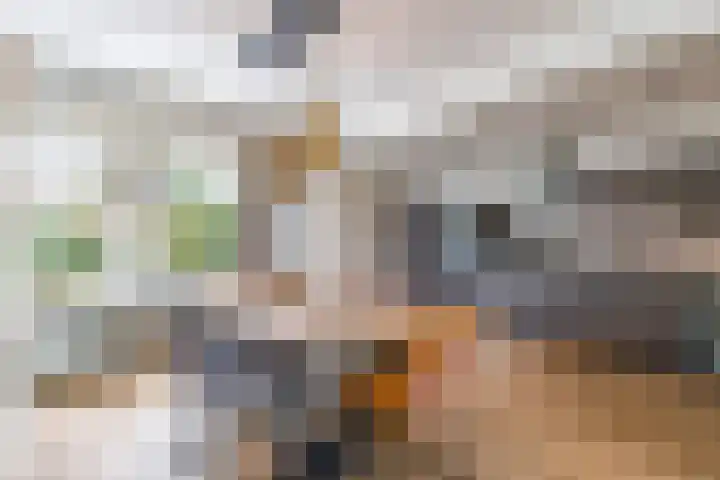 De Bou 10 Beetsterzwaag thumbnail 12