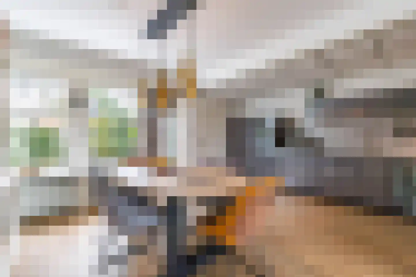 De Bou 10 Beetsterzwaag thumbnail 12
