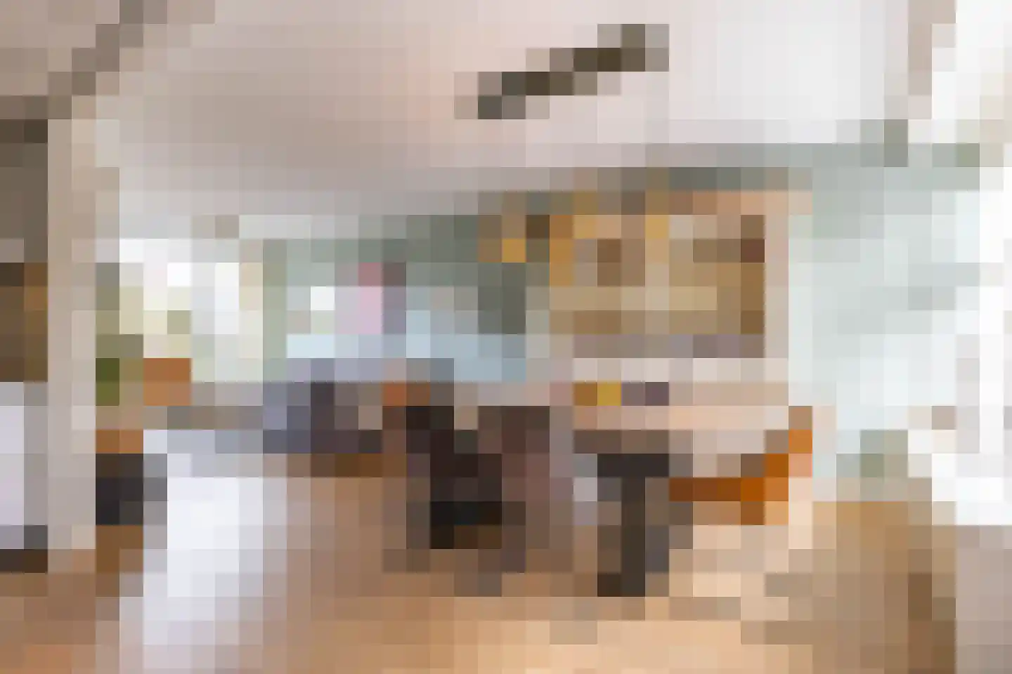 De Bou 10 Beetsterzwaag thumbnail 13