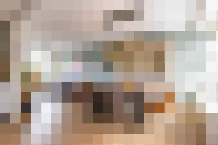 De Bou 10 Beetsterzwaag thumbnail 13