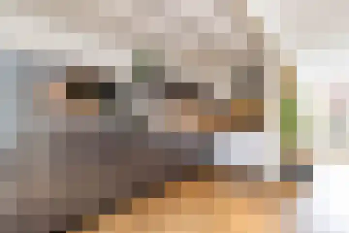 De Bou 10 Beetsterzwaag thumbnail 14