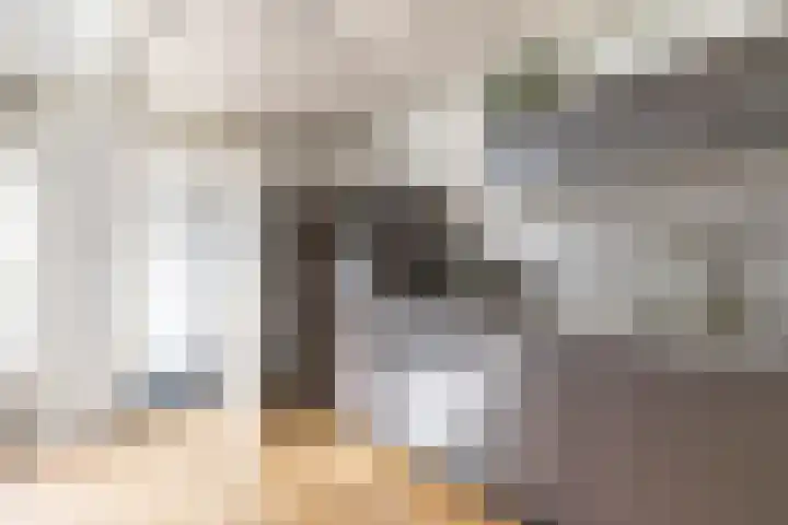 De Bou 10 Beetsterzwaag thumbnail 15