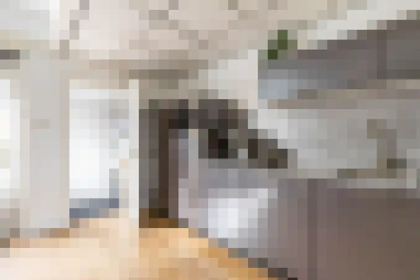 De Bou 10 Beetsterzwaag thumbnail 15