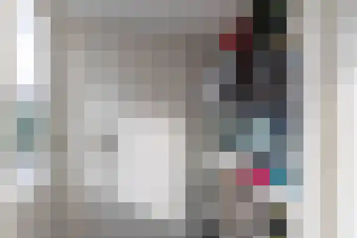 De Bou 10 Beetsterzwaag thumbnail 16