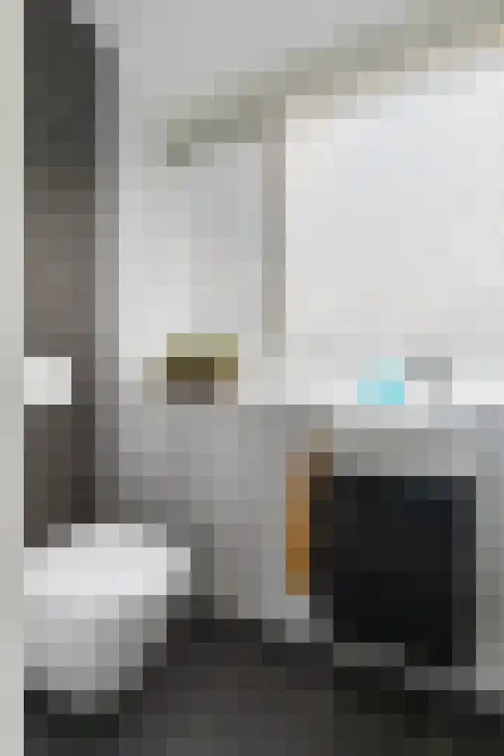 De Bou 10 Beetsterzwaag thumbnail 20