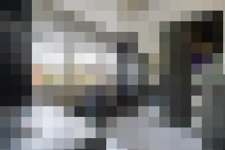 De Bou 10 Beetsterzwaag thumbnail 21