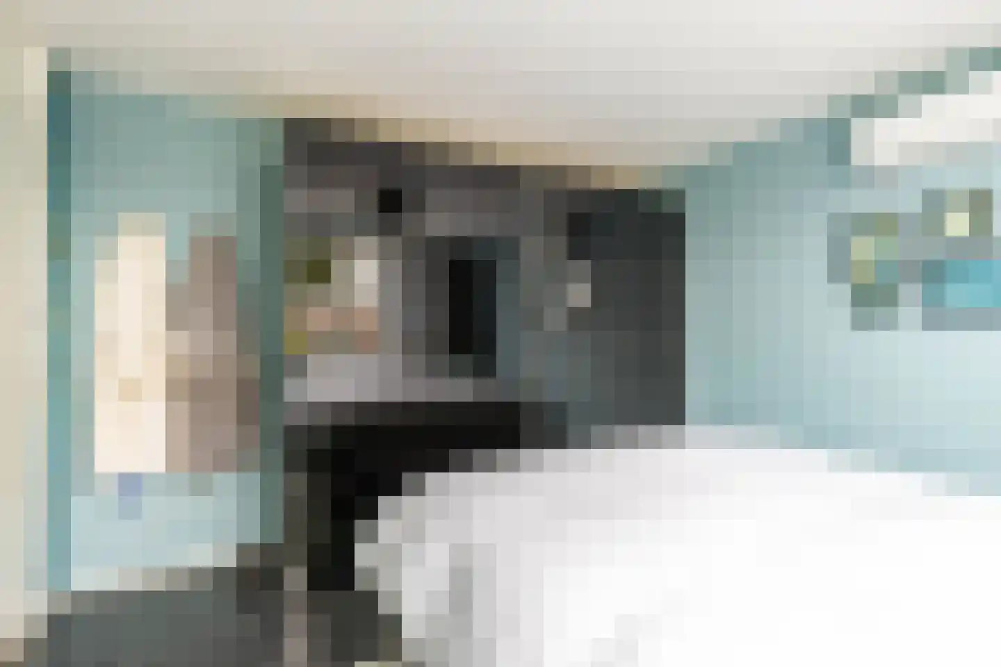 De Bou 10 Beetsterzwaag thumbnail 24