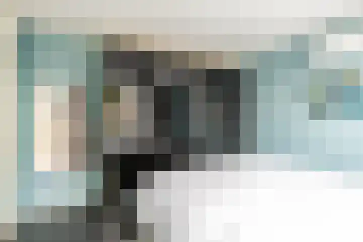 De Bou 10 Beetsterzwaag thumbnail 24