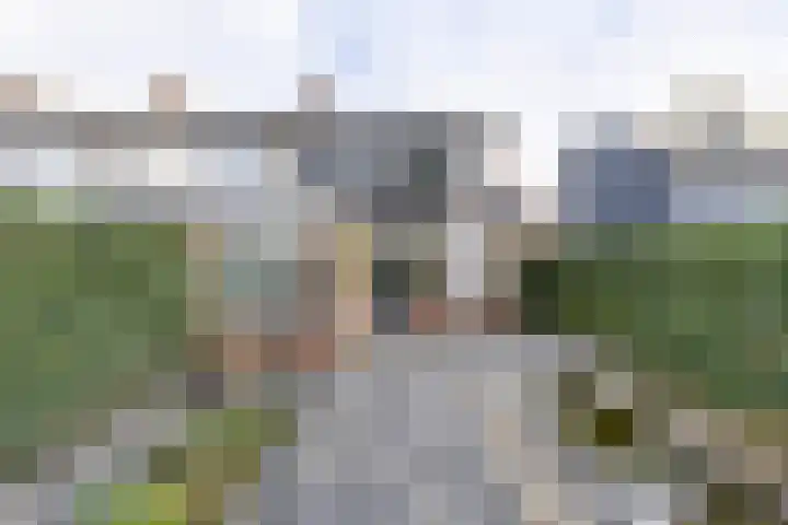 De Bou 10 Beetsterzwaag thumbnail 28