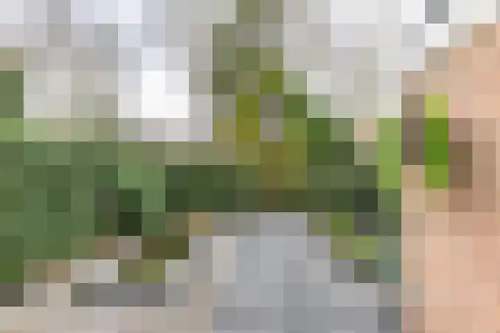 De Bou 10 Beetsterzwaag thumbnail 30