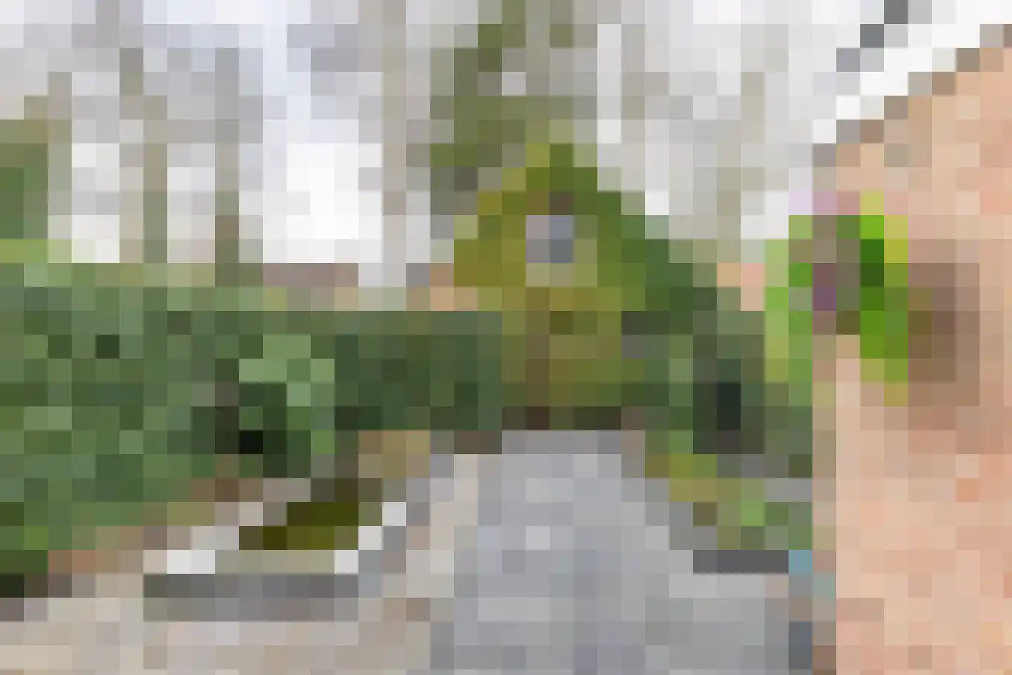 De Bou 10 Beetsterzwaag thumbnail 30