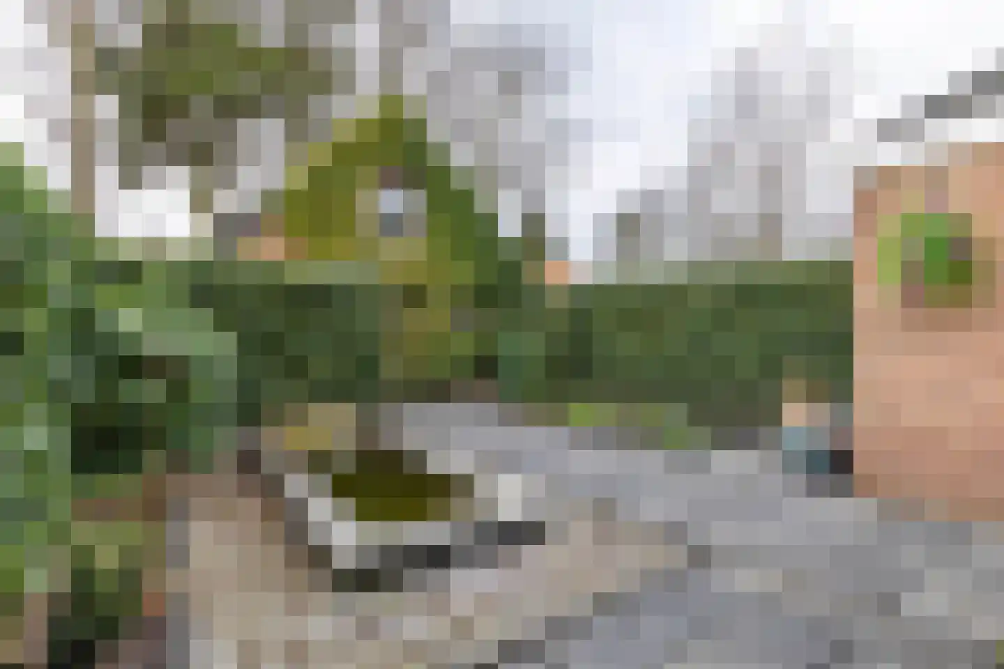 De Bou 10 Beetsterzwaag thumbnail 31