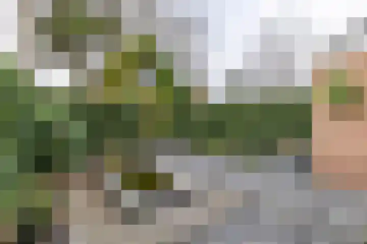 De Bou 10 Beetsterzwaag thumbnail 31