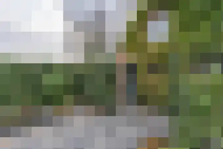 De Bou 10 Beetsterzwaag thumbnail 32