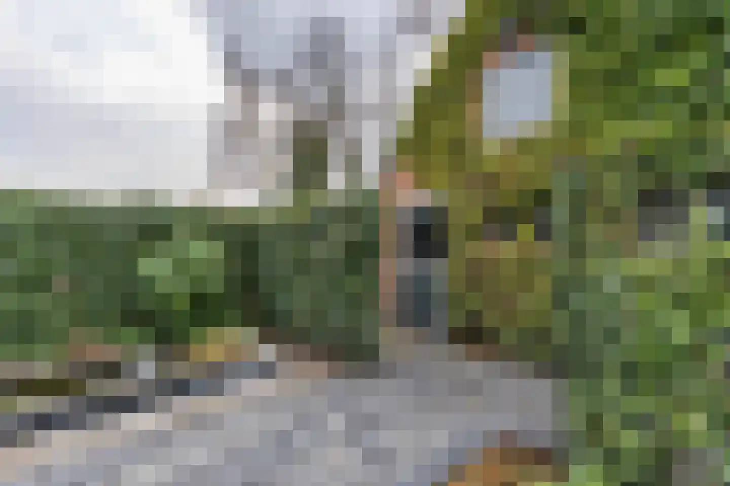 De Bou 10 Beetsterzwaag thumbnail 32