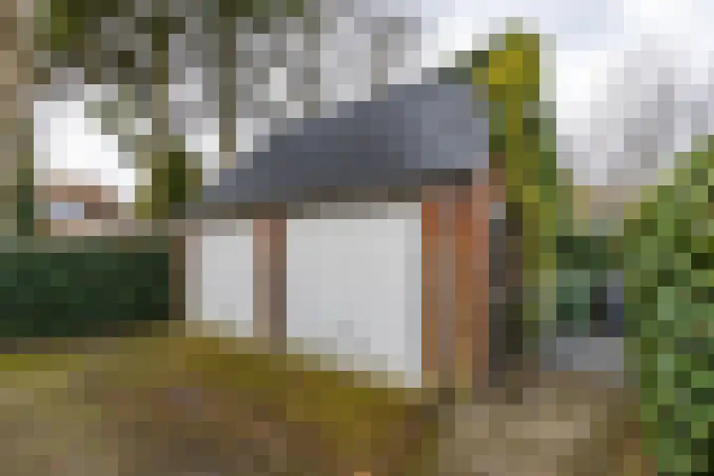 De Bou 10 Beetsterzwaag thumbnail 6