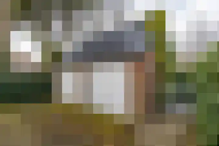 De Bou 10 Beetsterzwaag thumbnail 6