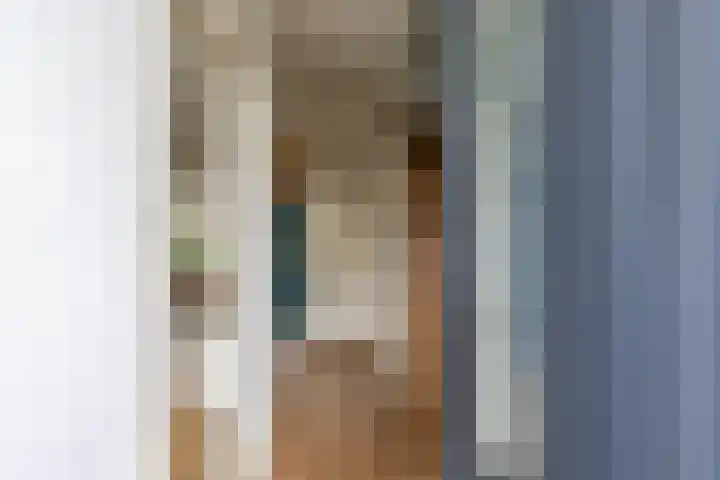 De Bou 10 Beetsterzwaag thumbnail 7