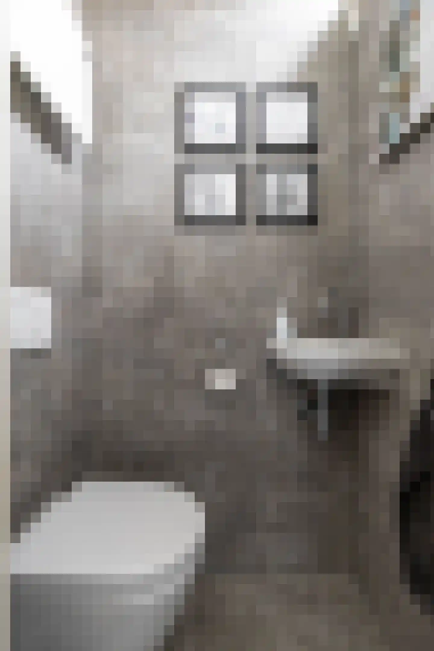 De Bou 10 Beetsterzwaag thumbnail 8