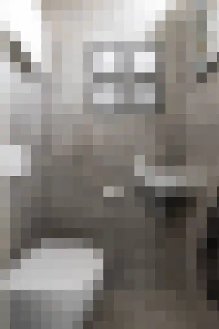 De Bou 10 Beetsterzwaag thumbnail 8
