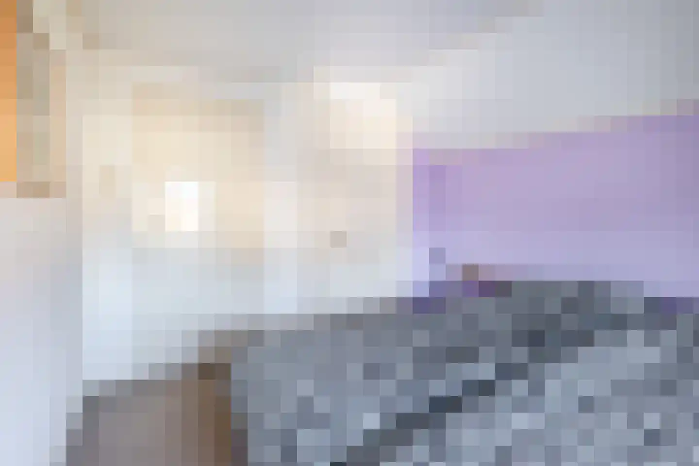 De Bou 15 Beetsterzwaag thumbnail 13