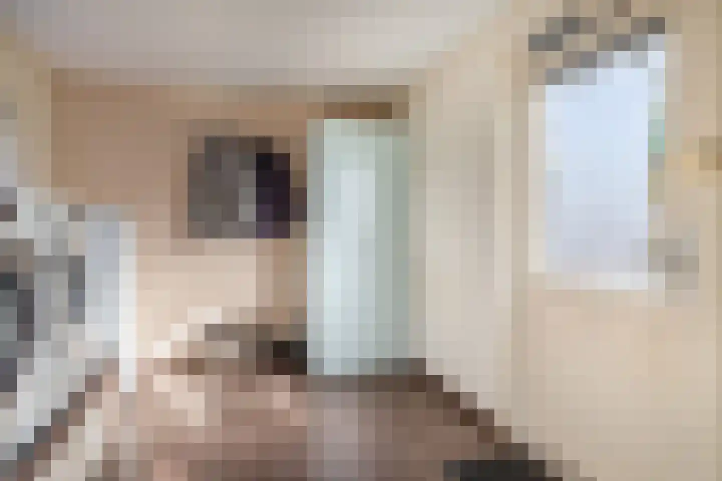 De Bou 15 Beetsterzwaag thumbnail 21