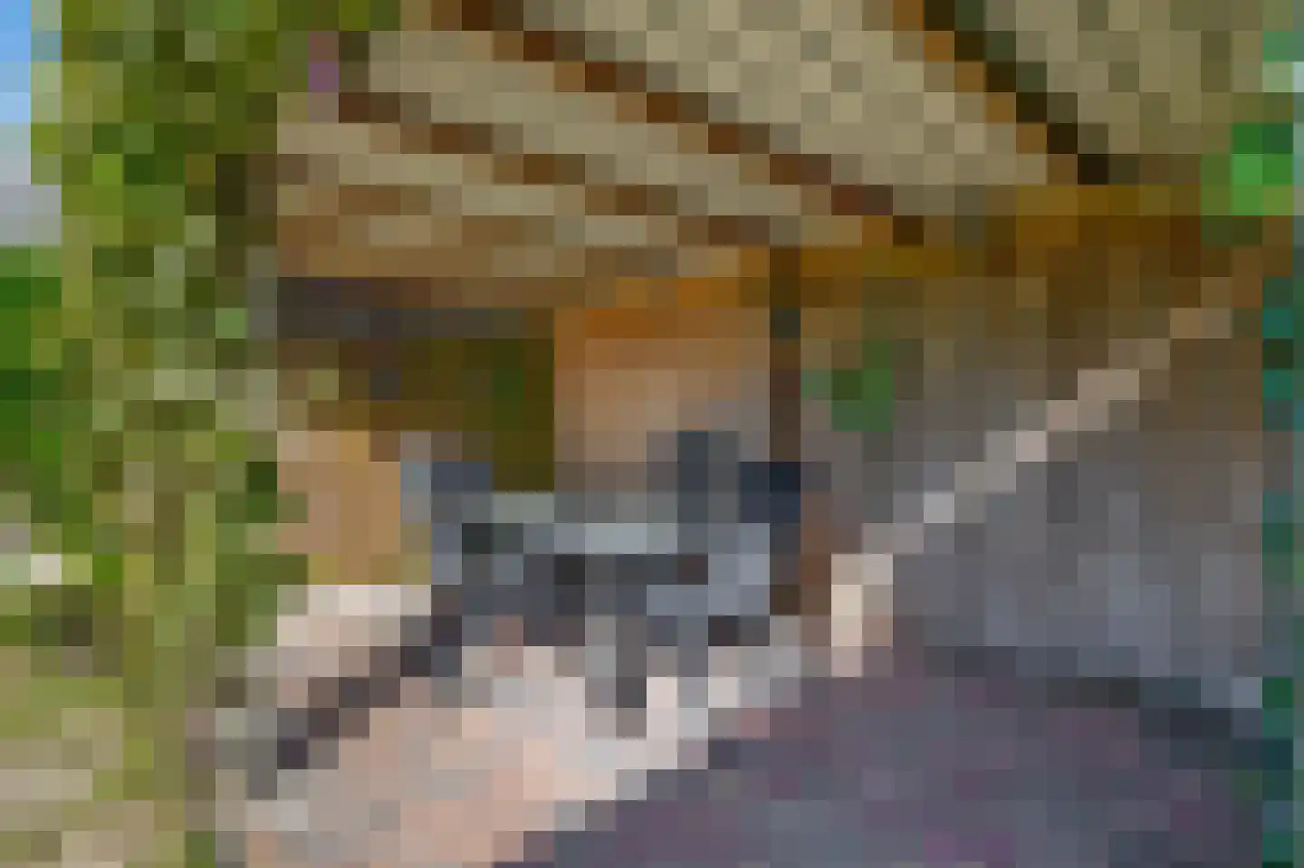 De Bou 15 Beetsterzwaag thumbnail 24