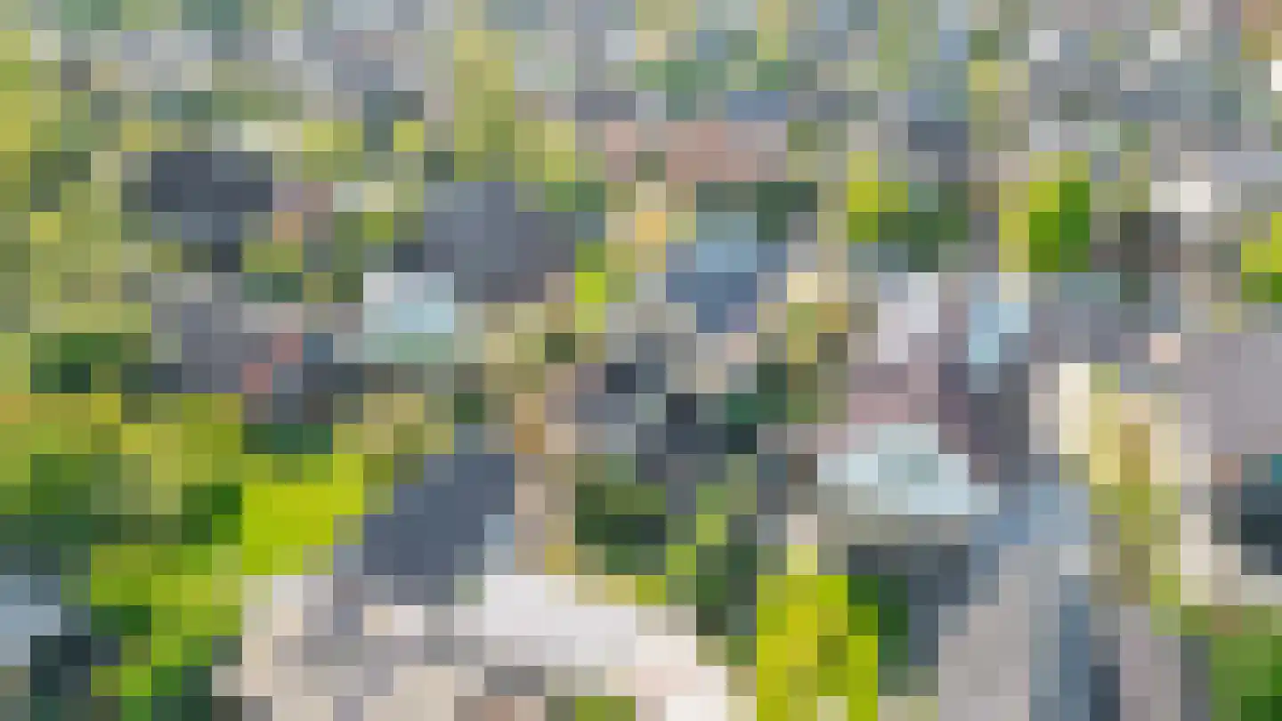 De Bou 15 Beetsterzwaag thumbnail 32