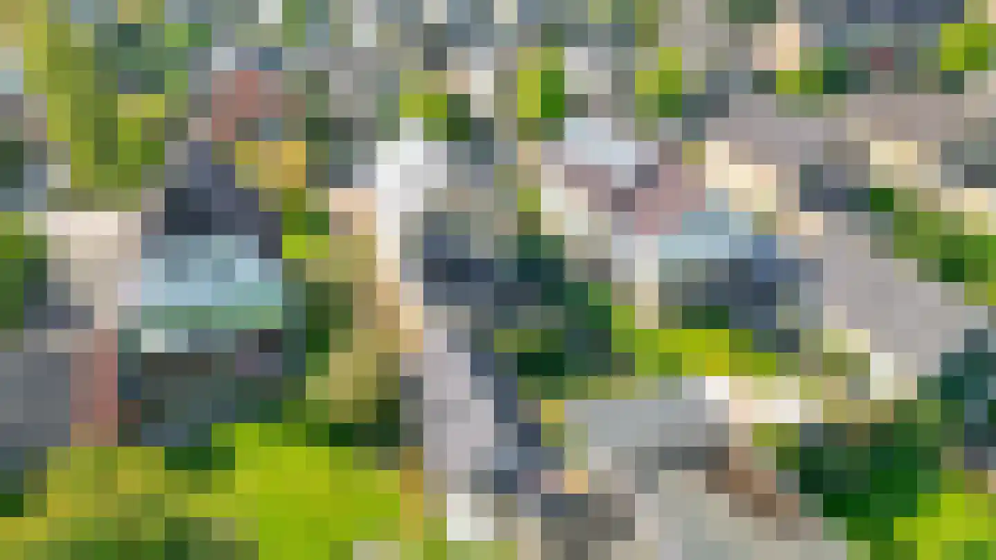 De Bou 15 Beetsterzwaag thumbnail 33