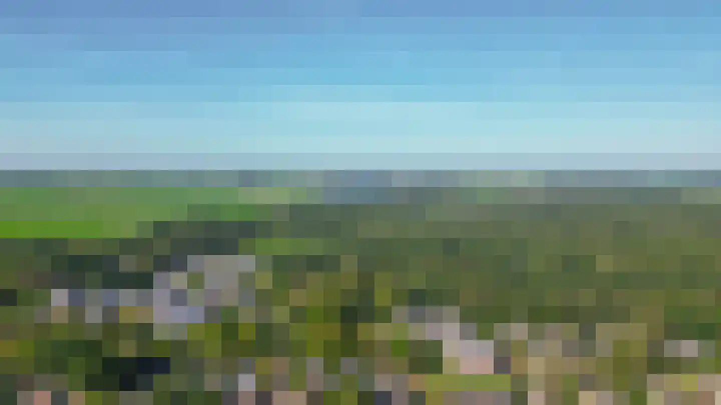 De Bou 15 Beetsterzwaag thumbnail 34