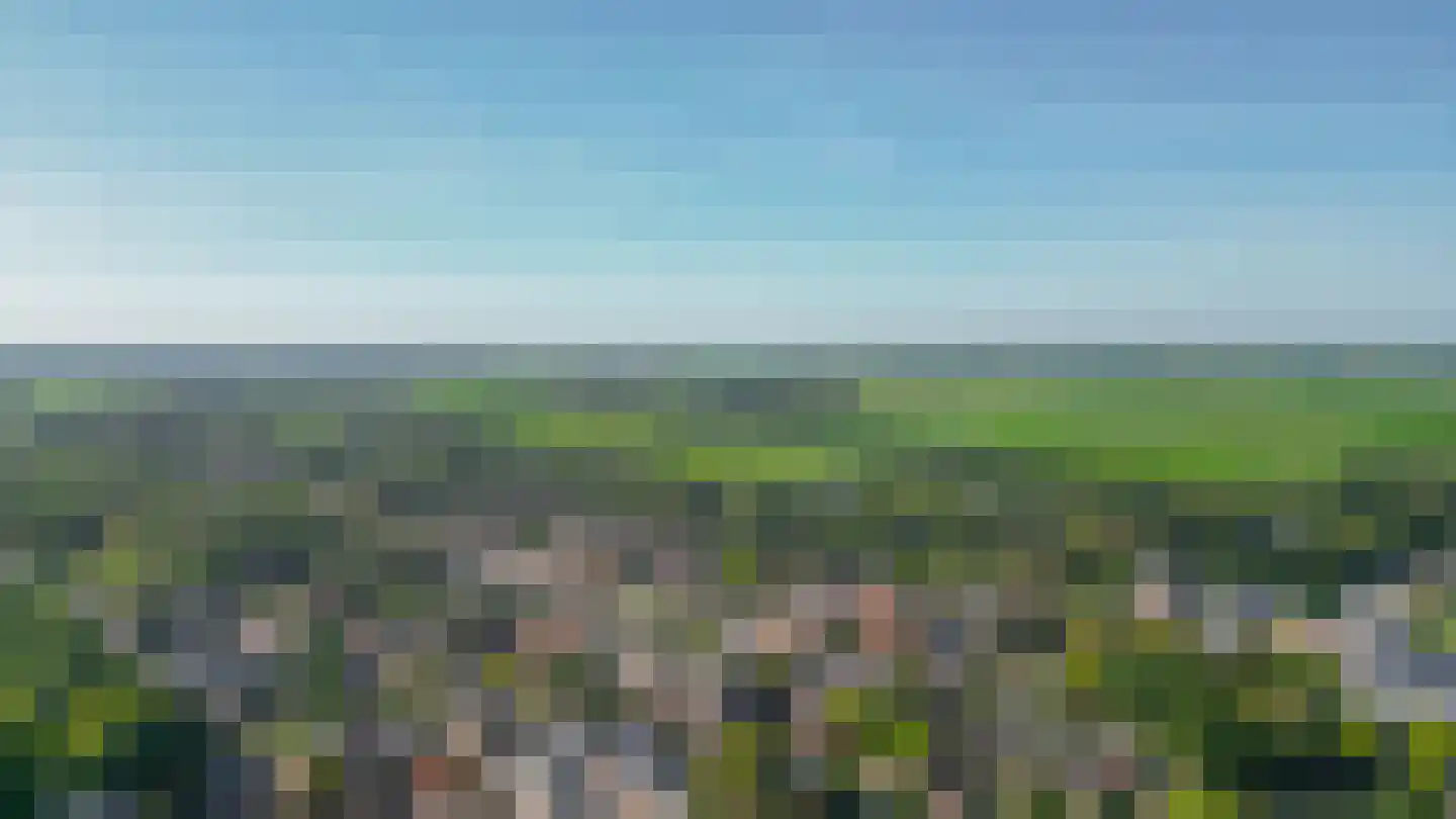 De Bou 15 Beetsterzwaag thumbnail 35