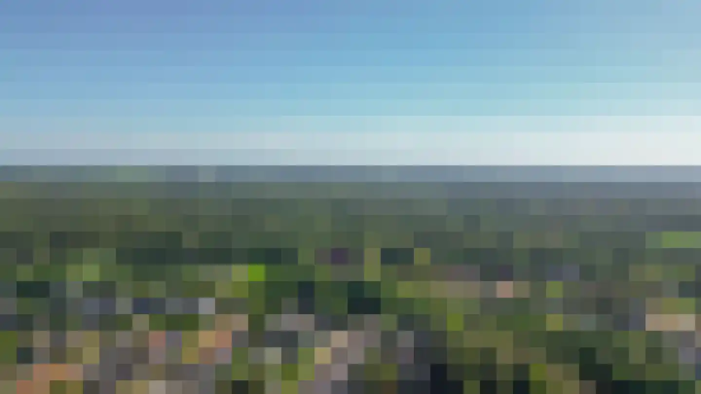 De Bou 15 Beetsterzwaag thumbnail 36