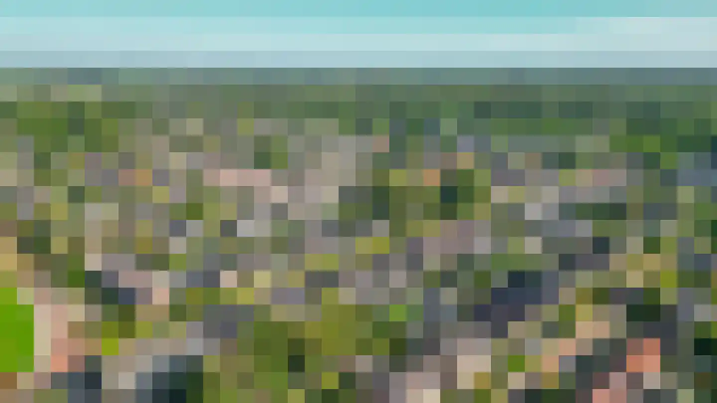 De Bou 15 Beetsterzwaag thumbnail 37