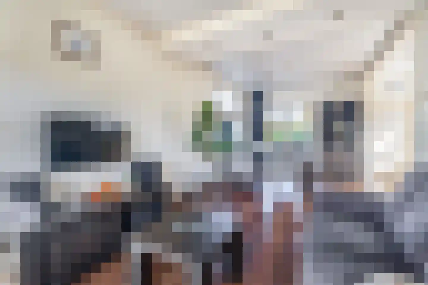 De Bou 15 Beetsterzwaag thumbnail 4