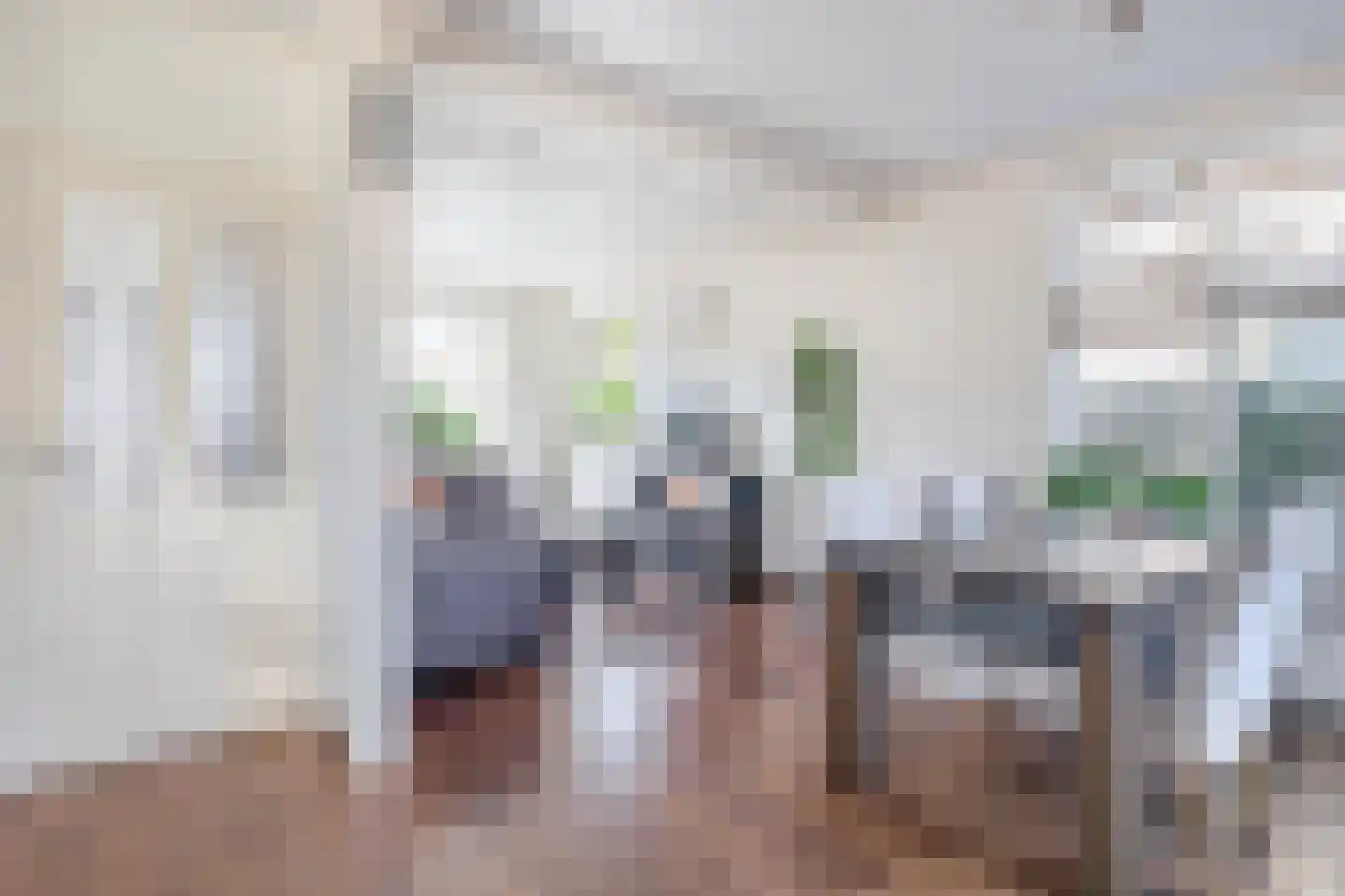 De Bou 15 Beetsterzwaag thumbnail 5