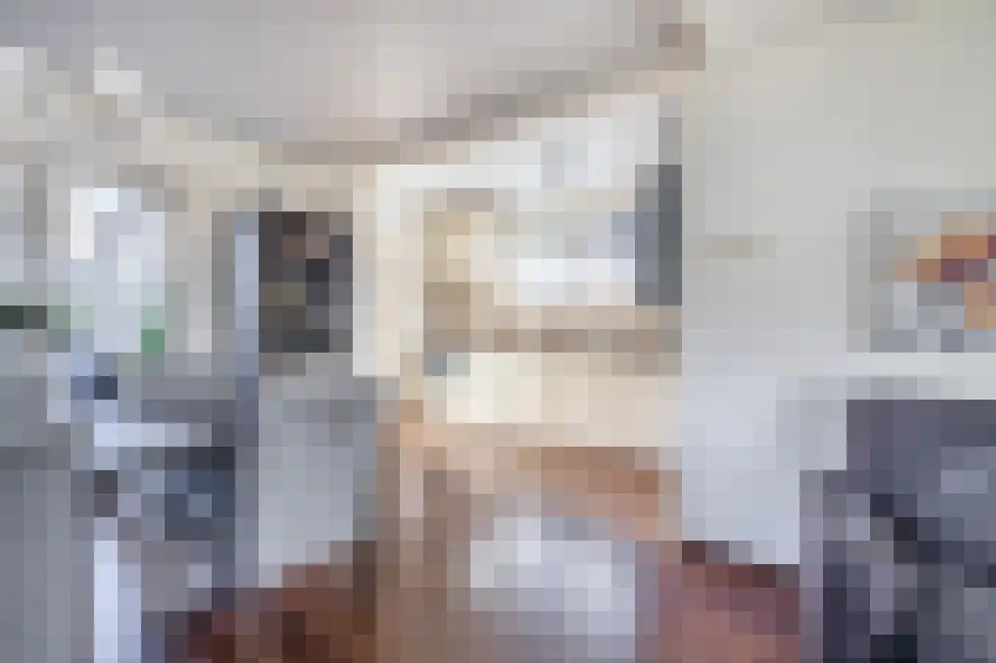 De Bou 15 Beetsterzwaag thumbnail 8