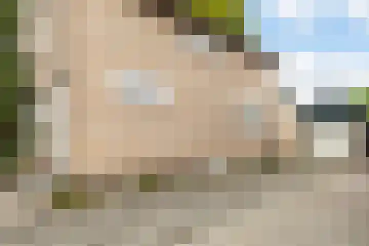 De Bou 19 Beetsterzwaag thumbnail 10