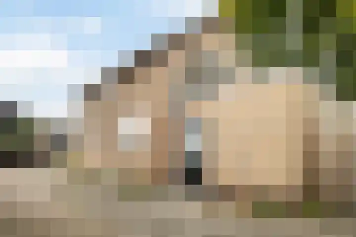 De Bou 19 Beetsterzwaag thumbnail 11
