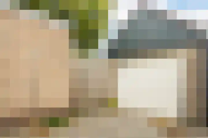 De Bou 19 Beetsterzwaag thumbnail 12