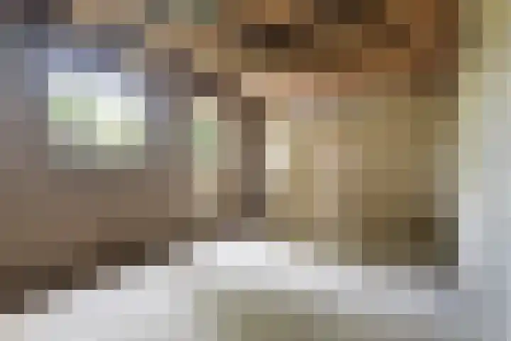 De Bou 19 Beetsterzwaag thumbnail 13